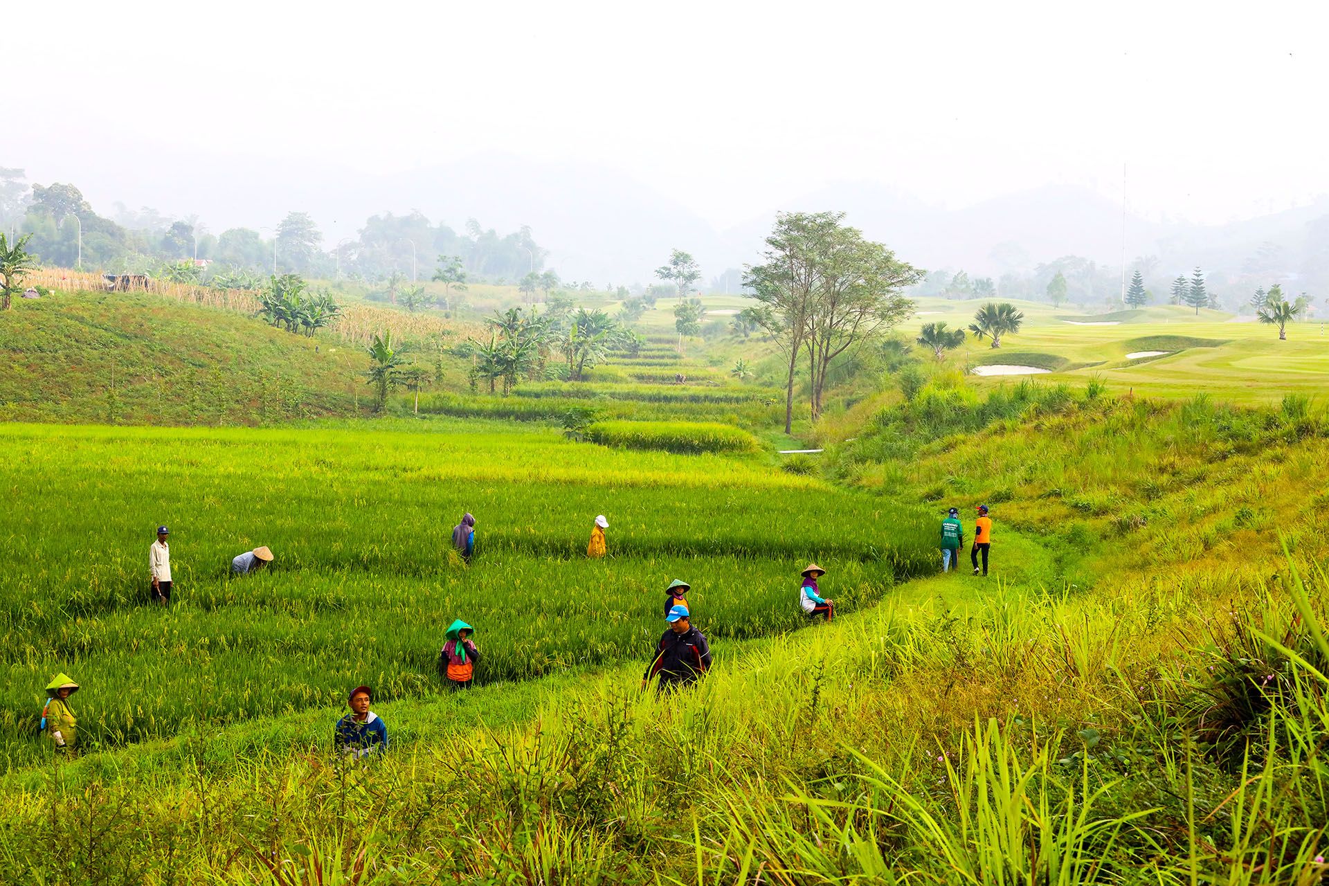 Parahyangan Golf Kota Baru Parahyangan